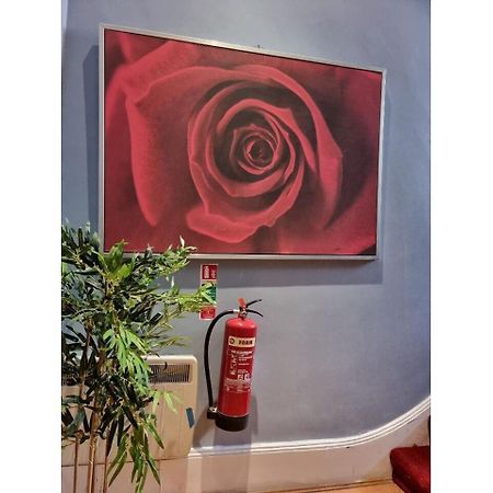 F301-Awesome 3Rd Flr Studio Fits 1 Near Hyde Park Londres Exterior foto
